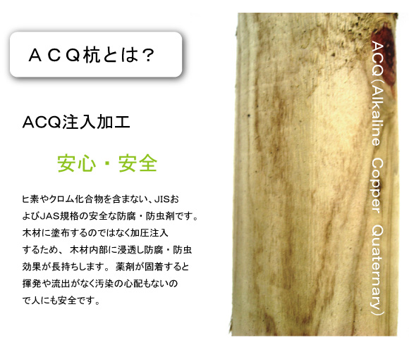 ¼Ð¤á»ÙÃì¡¡¥»¥Ã¥È¡¡¿¢ÌÚ¡¡¹º¡¡ÈÎÇä