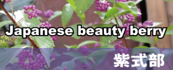 �������С��缰��