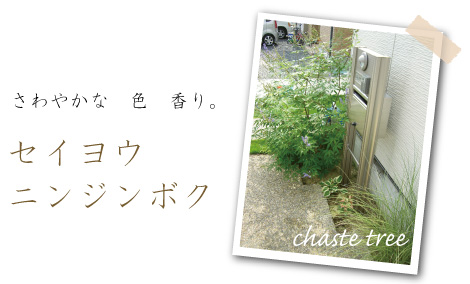 À¾ÍΥ˥󥸥ó¥Ü¥¯¡¡¥¤¥¿¥ê¥¢¥Ë¥ó¥¸¥ó¥Ü¥¯