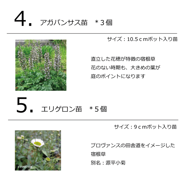 ガーデンセット S プロヴァンス プロ監修 配置案 ガイド 肥料 手袋付き 植木組合オリジナル