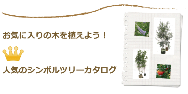 人気のシンボルツリー カタログ 植木組合 本店