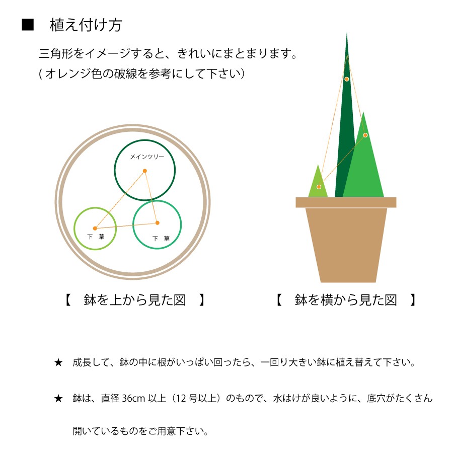 鉢の植え付け方